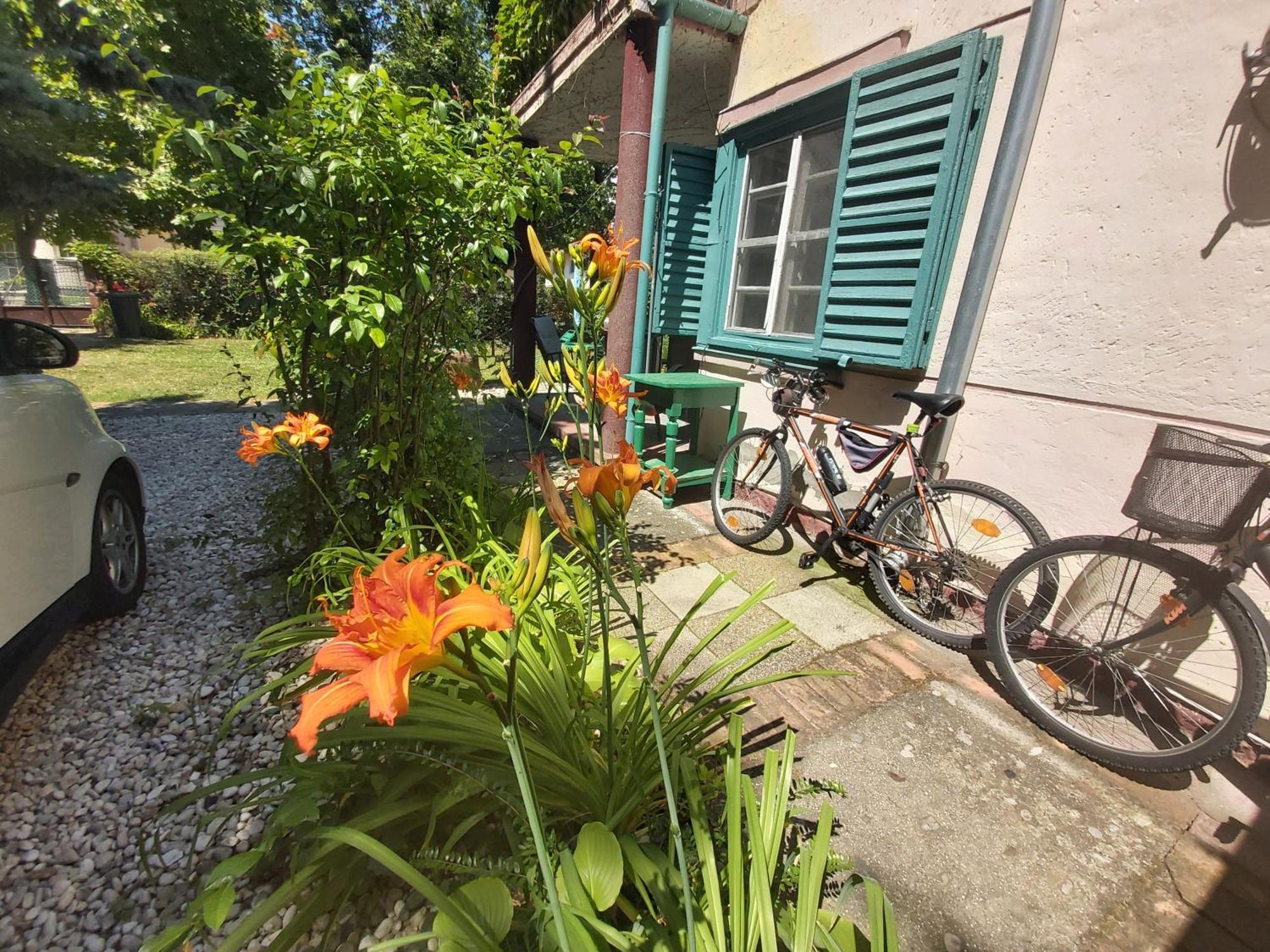 שיופוק Garden Budha Relax Apartman, Parking, Bbq, Terrace מראה חיצוני תמונה