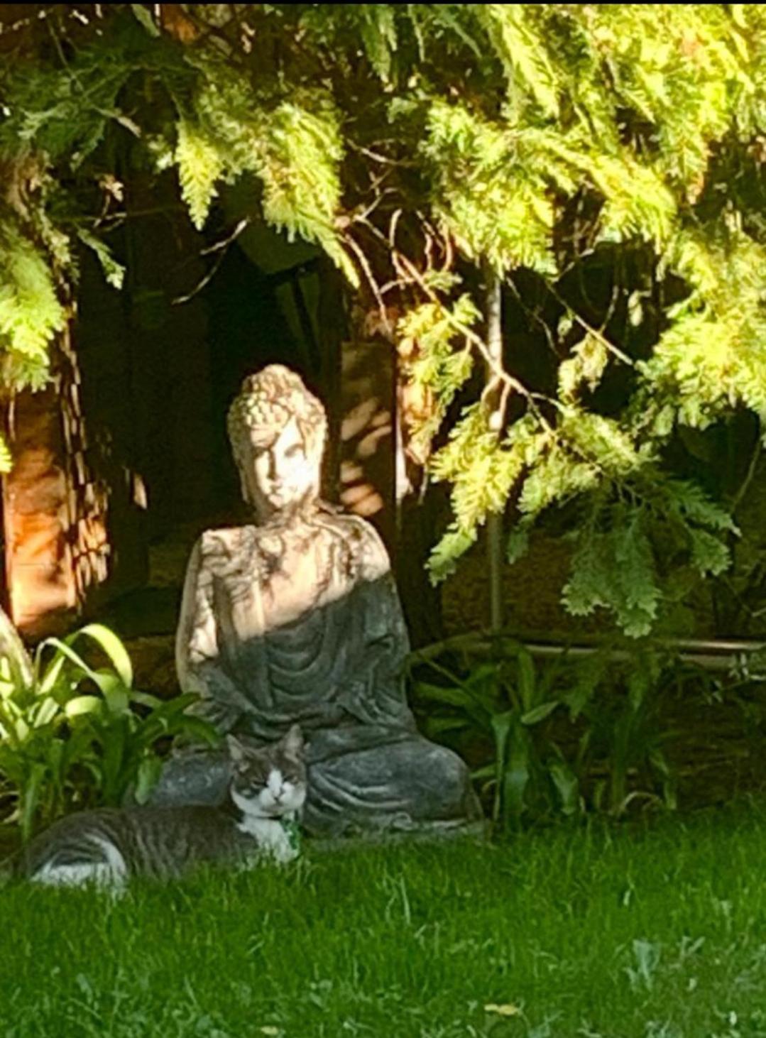 שיופוק Garden Budha Relax Apartman, Parking, Bbq, Terrace מראה חיצוני תמונה